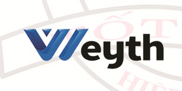 Doi-tac-Hang-Weyth