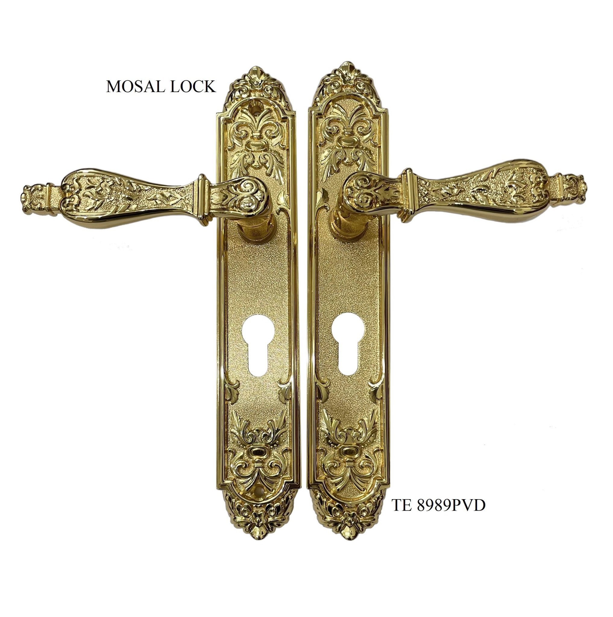 TE-8989-PB--CUA-CHINH-260MM-